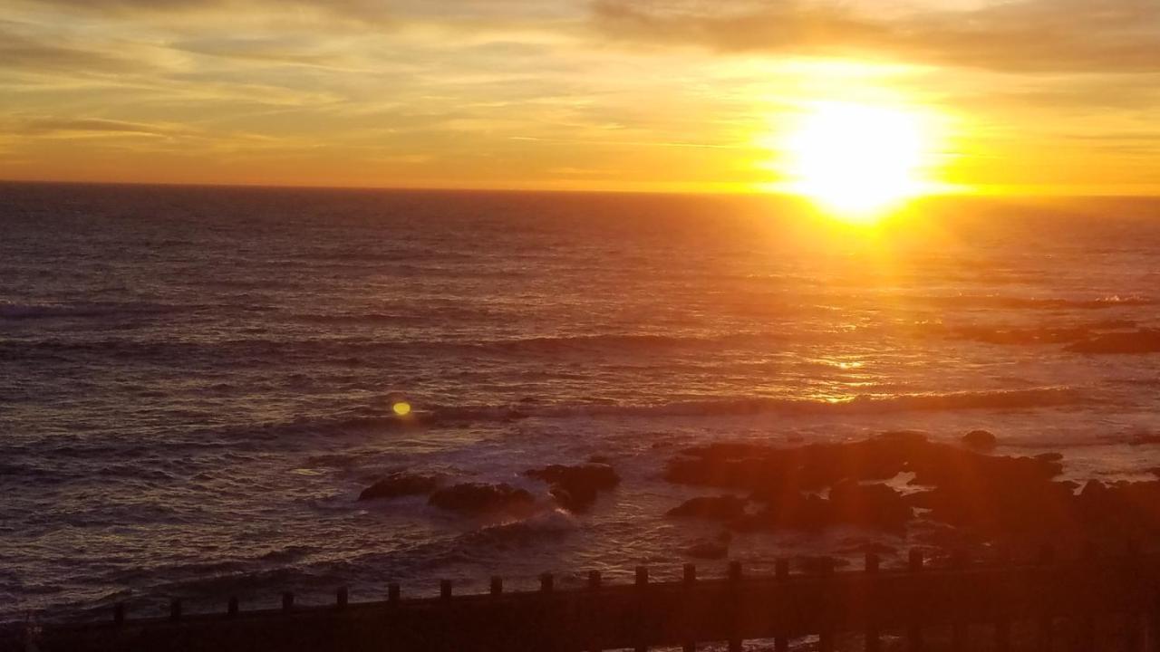 Shelter Cove 海滨宾馆酒店 外观 照片