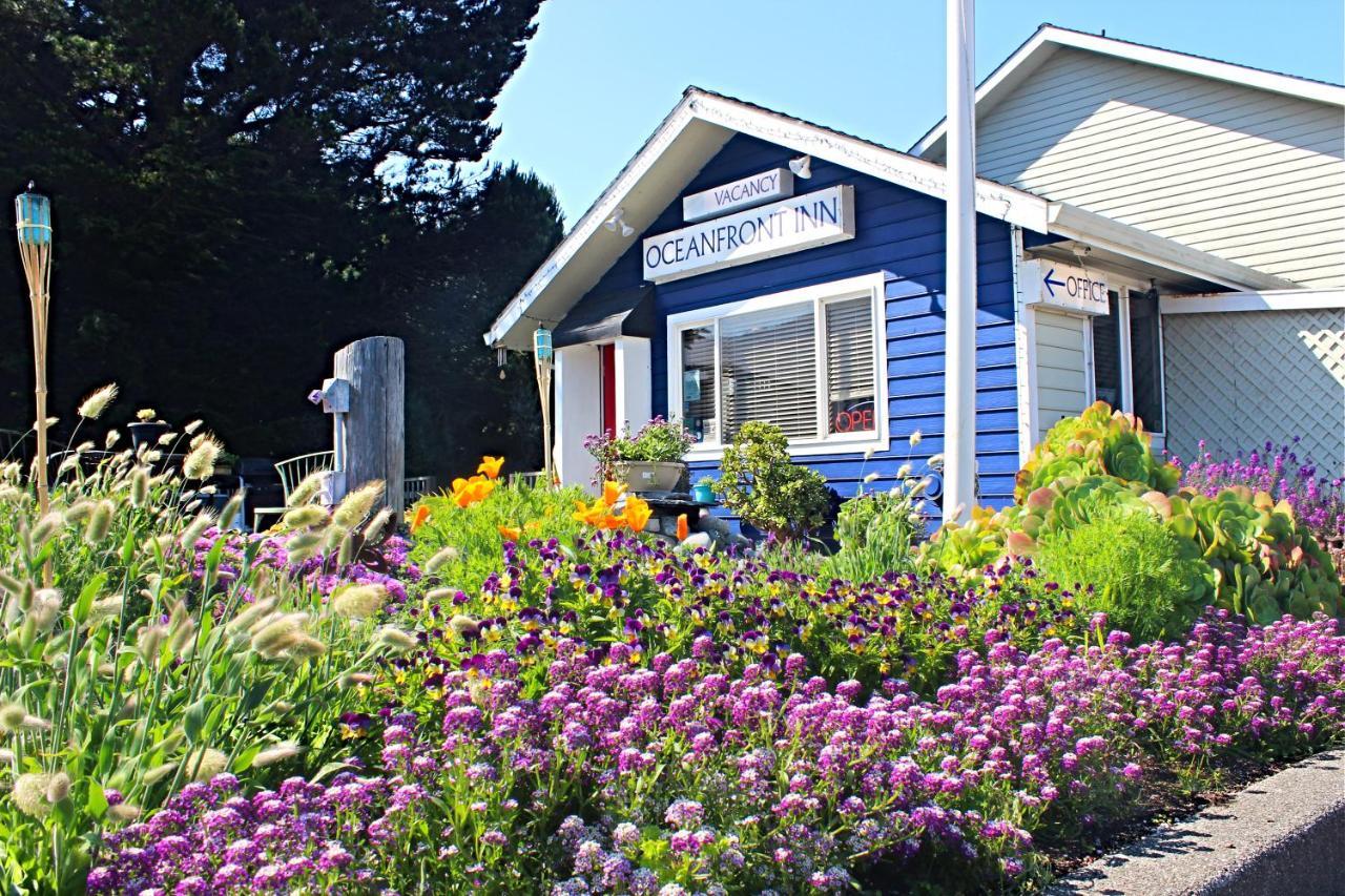 Shelter Cove 海滨宾馆酒店 外观 照片